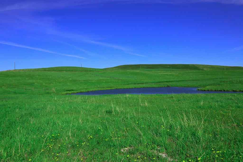 MLS® A1176643 -  Highway #5   in NONE Rural Cardston County, Land