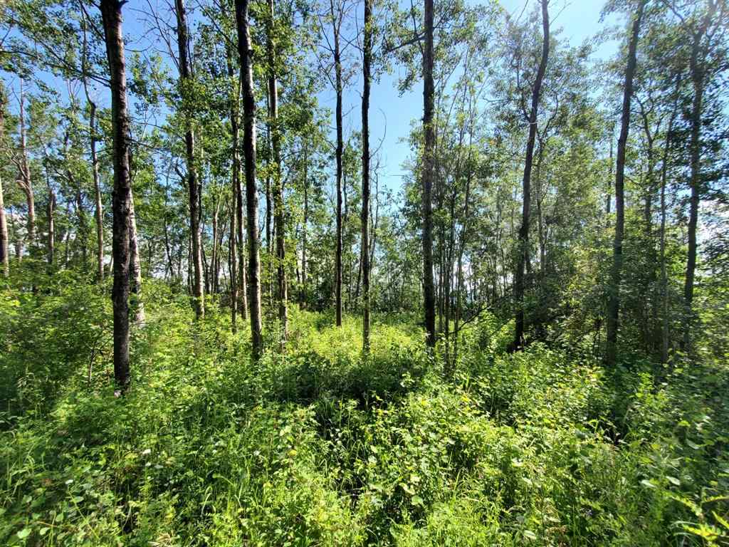 MLS® A1178834 - Lot 4 Campsite Road   in NONE Plamondon, Land