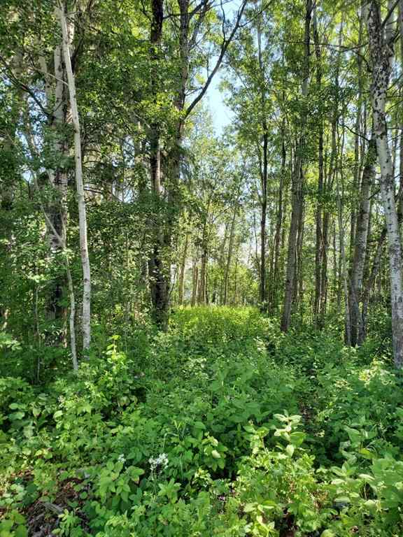 MLS® A1178834 - Lot 4 Campsite Road   in NONE Plamondon, Land