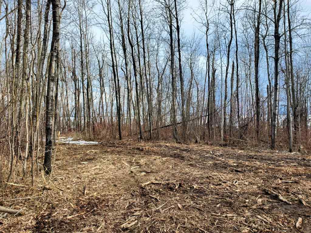 MLS® A1178834 - Lot 4 Campsite Road   in NONE Plamondon, Land