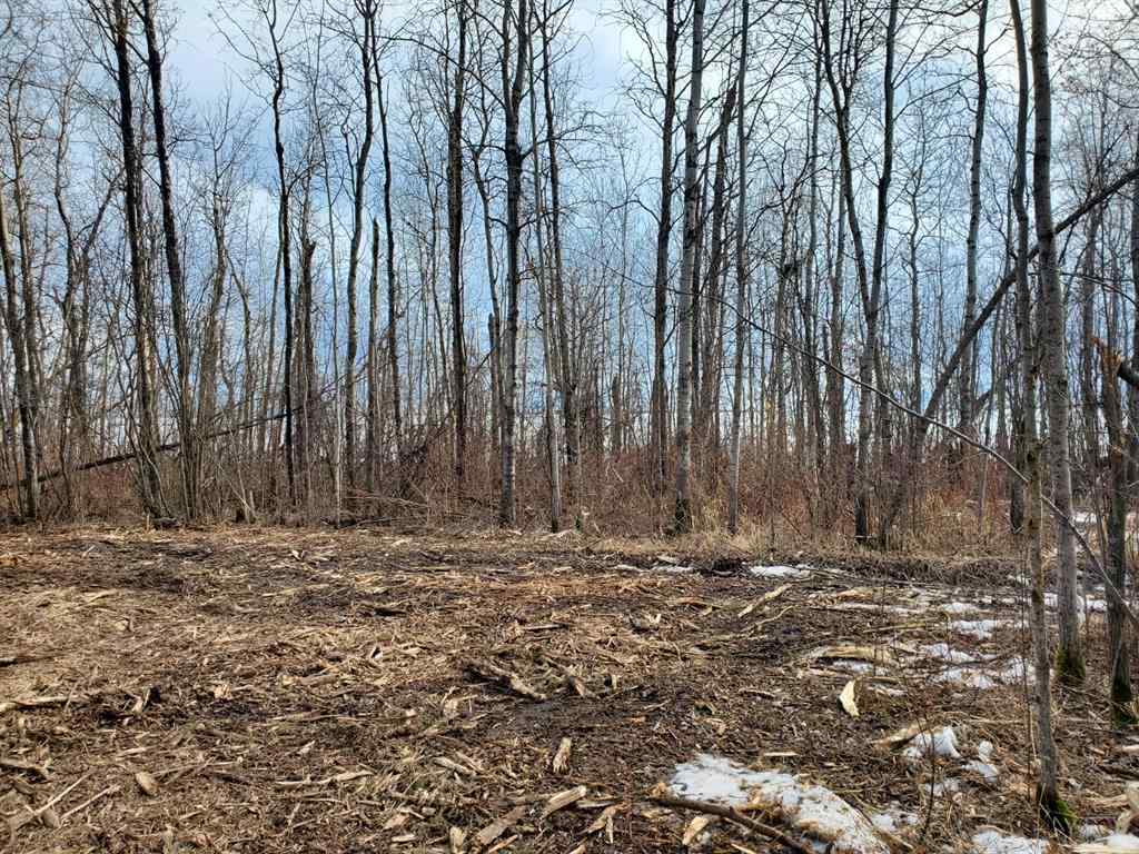 MLS® A1178834 - Lot 4 Campsite Road   in NONE Plamondon, Land