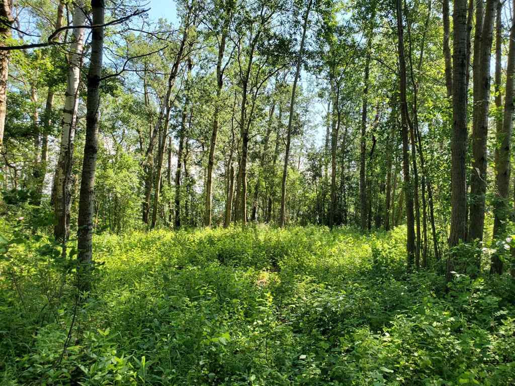MLS® A1178834 - Lot 4 Campsite Road   in NONE Plamondon, Land