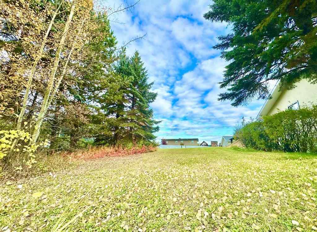 MLS® A1207968 - 10316 103 Ave   in Lac La Biche Lac La Biche, Land