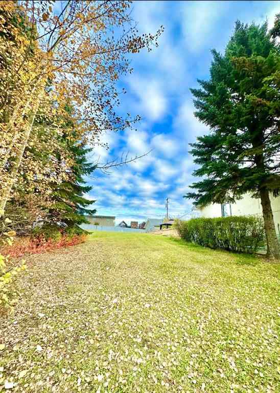 MLS® A1207968 - 10316 103 Ave   in Lac La Biche Lac La Biche, Land