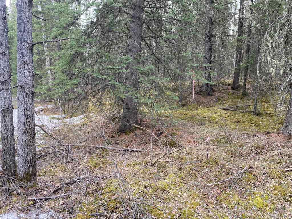 MLS® A1221557 -  5-23-52-20 NW   in NONE Rural Yellowhead County, Land