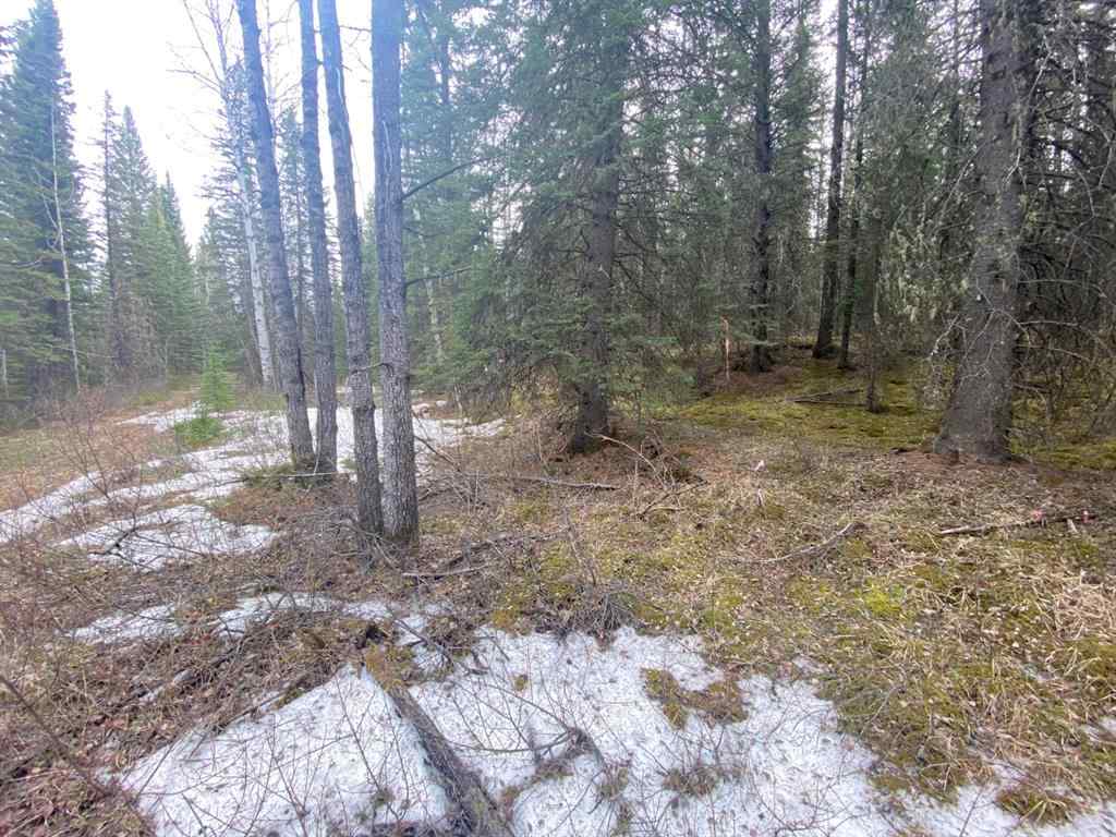 MLS® A1221557 -  5-23-52-20 NW   in NONE Rural Yellowhead County, Land
