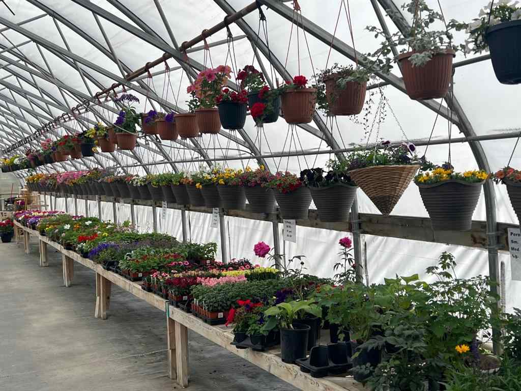 MLS® A1225229 - 711 8 Avenue E in NONE Bow Island, Commercial