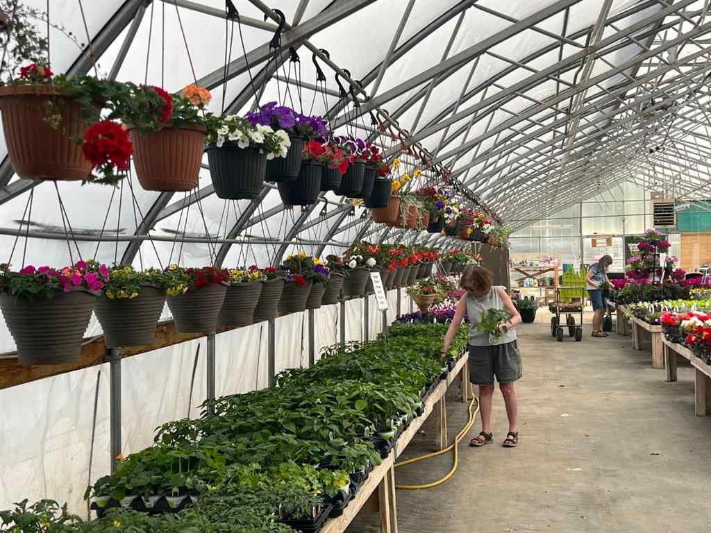 MLS® A1225229 - 711 8 Avenue E in NONE Bow Island, Commercial