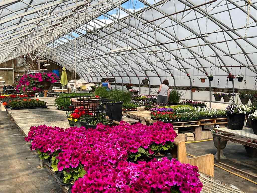 MLS® A1225229 - 711 8 Avenue E in NONE Bow Island, Commercial