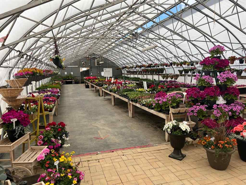 MLS® A1225229 - 711 8 Avenue E in NONE Bow Island, Commercial