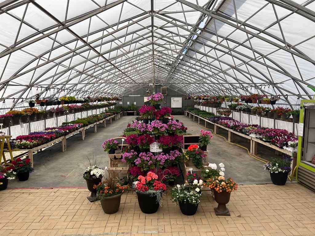 MLS® A1225229 - 711 8 Avenue E in NONE Bow Island, Commercial