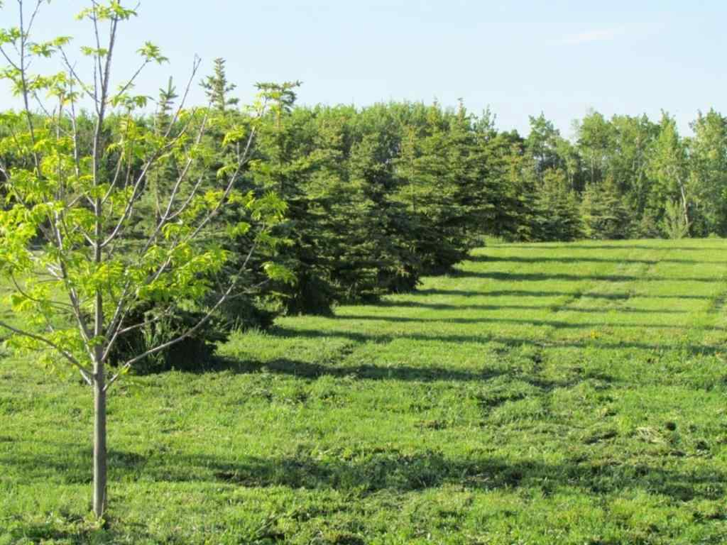 MLS® A1228400 - Unit #Lot 12 420054 Range Road 283   in NONE Rimbey, Land