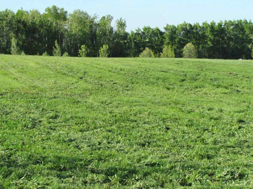 MLS® A1228400 - Unit #Lot 12 420054 Range Road 283   in NONE Rimbey, Land