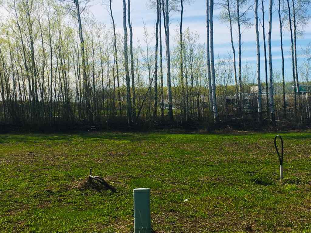 MLS® A1229218 - 41 Chonkolay Drive  in NONE High Level, Land