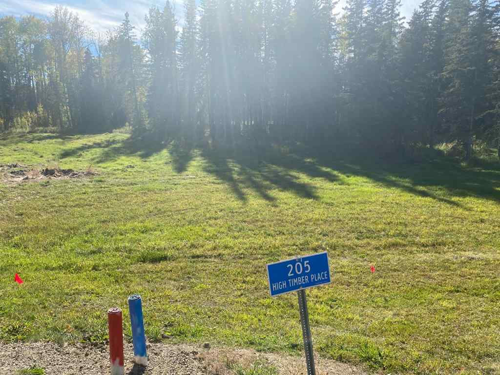 MLS® A1259081 - 205 High Timber Place  in Diamond Willow Estates Rural Clearwater County, Land