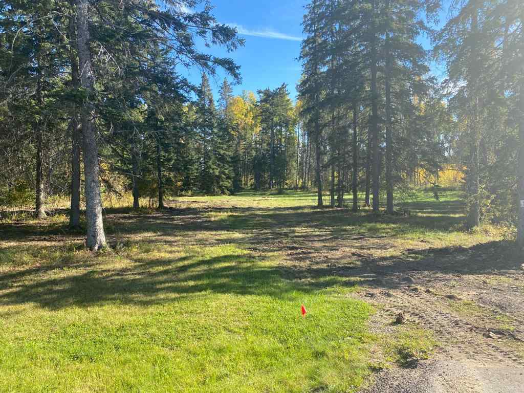 MLS® A1259088 - 201 High Timber Place  in Diamond Willow Estates Rural Clearwater County, Land