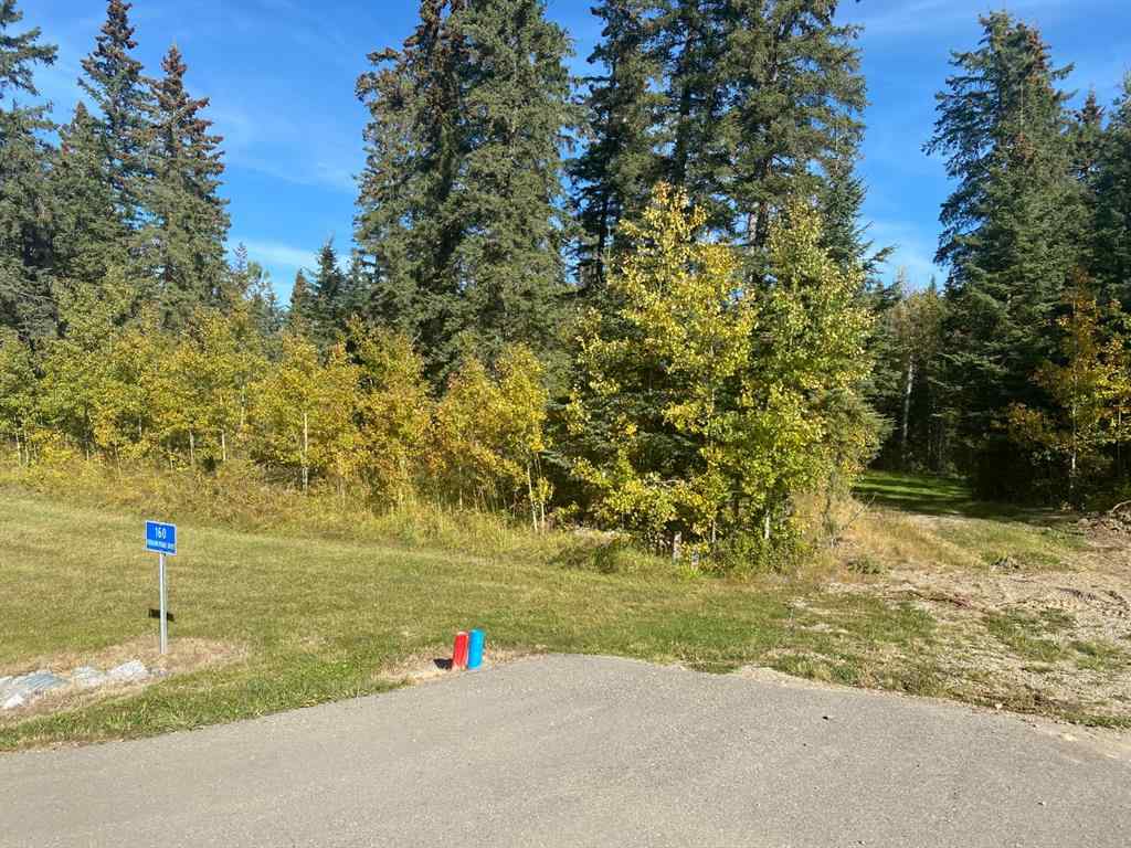 MLS® A1259098 - 160 Meadow Ponds Drive  in Diamond Willow Estates Rural Clearwater County, Land