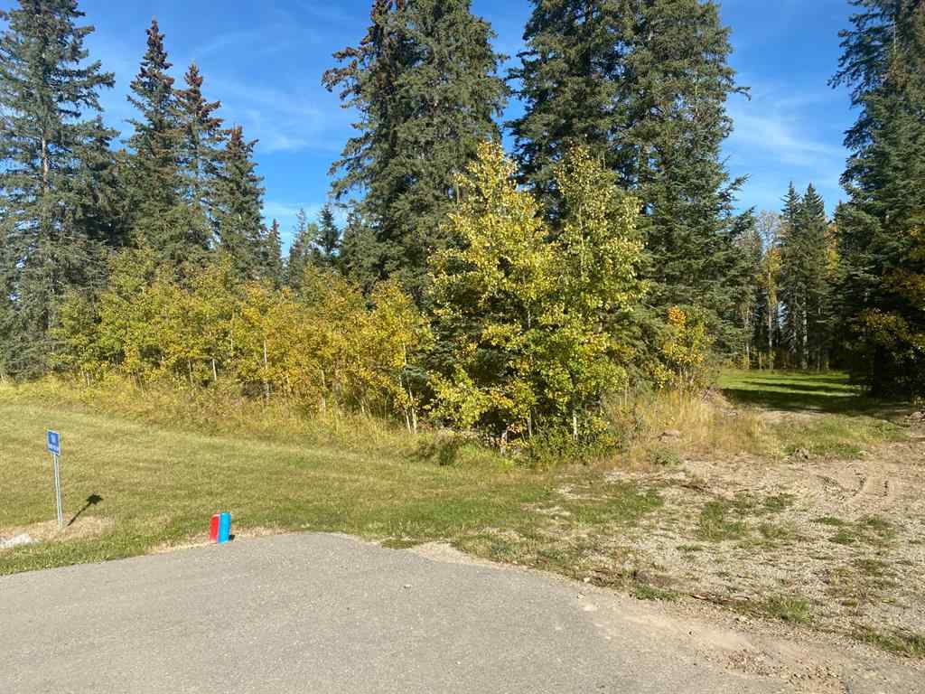MLS® A1259098 - 160 Meadow Ponds Drive  in Diamond Willow Estates Rural Clearwater County, Land