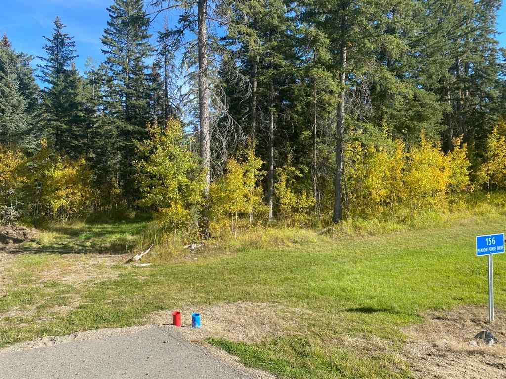 MLS® A1259104 - 156 Meadow Ponds Drive  in Diamond Willow Estates Rural Clearwater County, Land