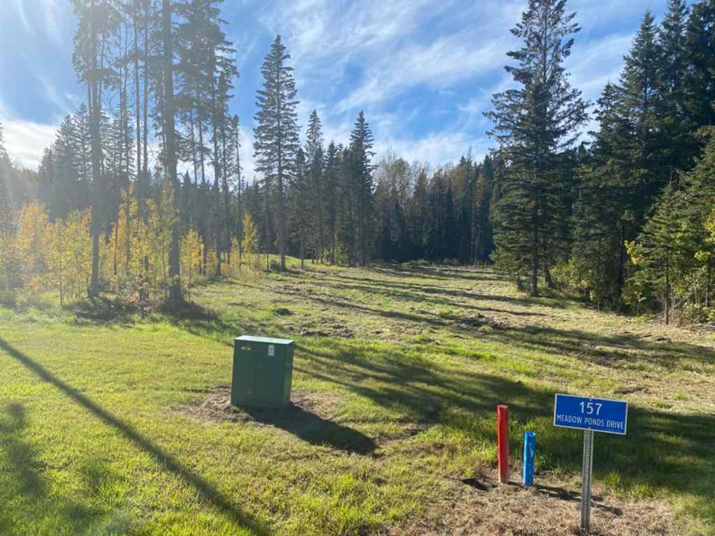 MLS® A1259230 - 157 Meadow Ponds Drive  in Diamond Willow Estates Rural Clearwater County, Land