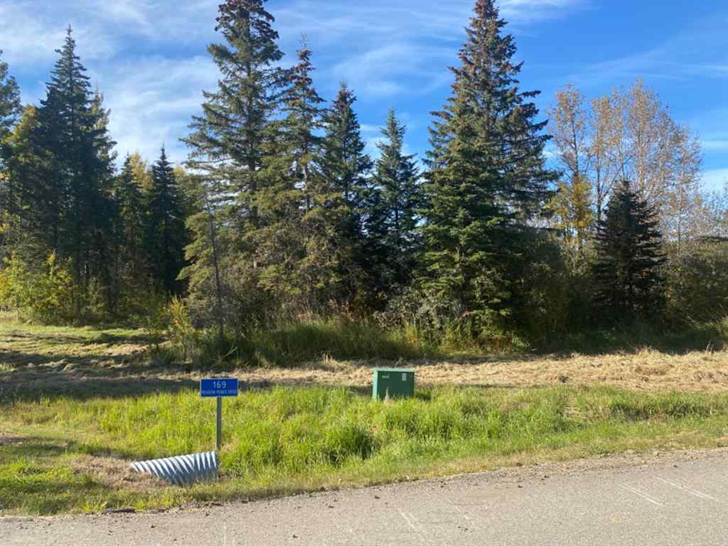 MLS® A1259232 - 169 Meadow Ponds Drive  in Diamond Willow Estates Rural Clearwater County, Land