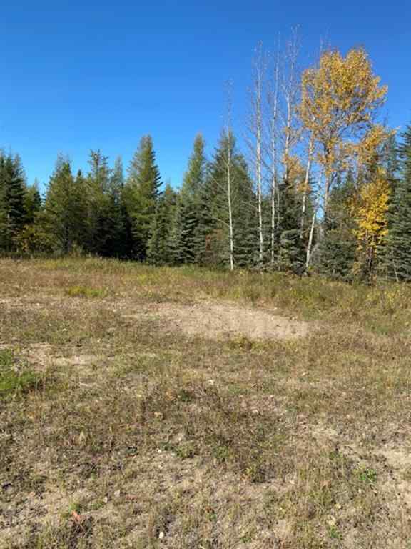 MLS® A1259389 - Lot 32 Flats Road Road  in NONE Whitecourt, Land
