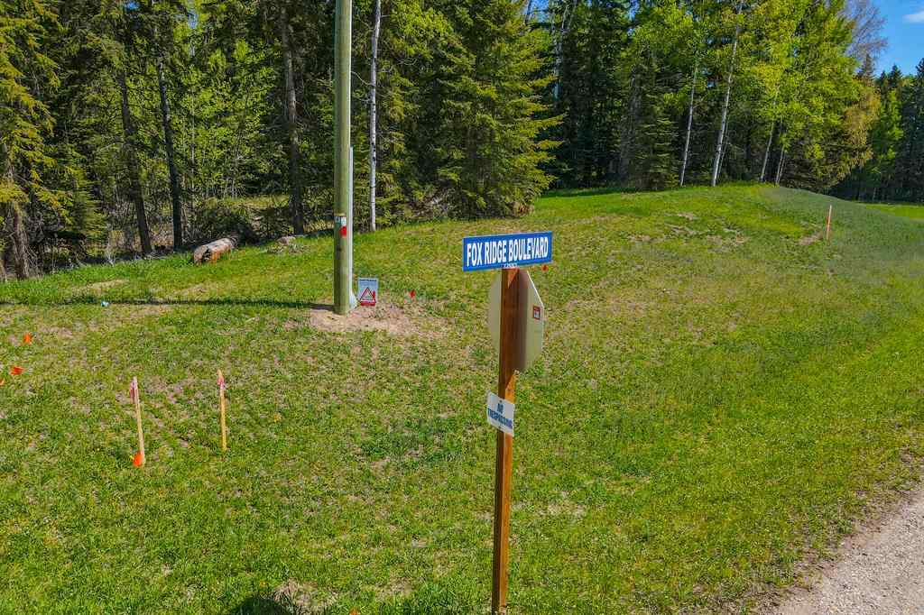MLS® A2001782 - 117 Fox Ridge Boulevard  in  Rural Clearwater County, Land