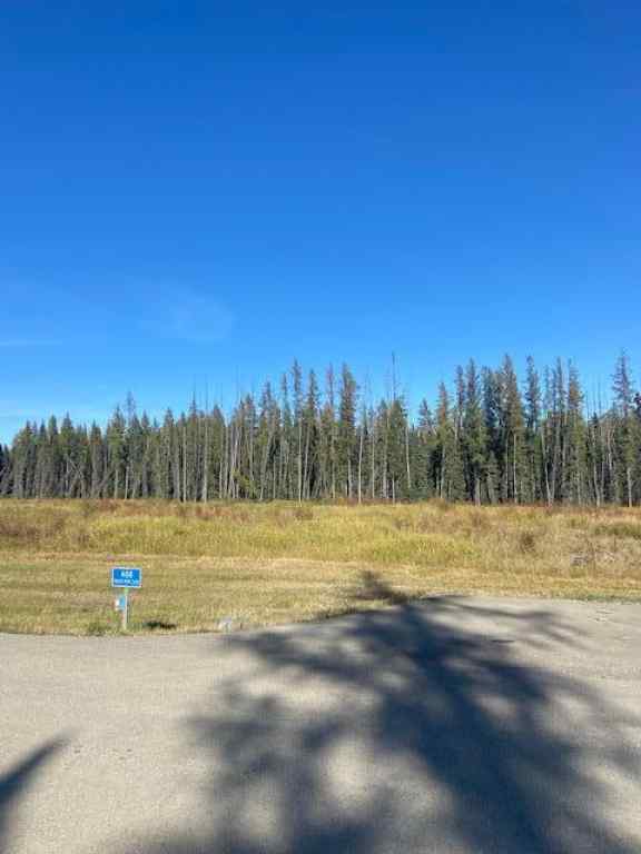 MLS® A2004547 - 408 Valley view Close  in Diamond Willow Estates Rural Clearwater County, Land