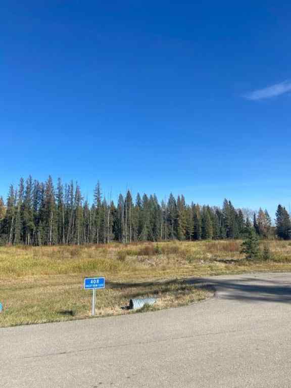 MLS® A2004547 - 408 Valley view Close  in Diamond Willow Estates Rural Clearwater County, Land