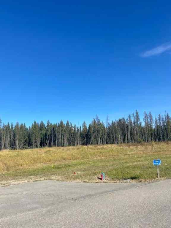 MLS® A2004552 - 404 Valley View Close  in Diamond Willow Estates Rural Clearwater County, Land