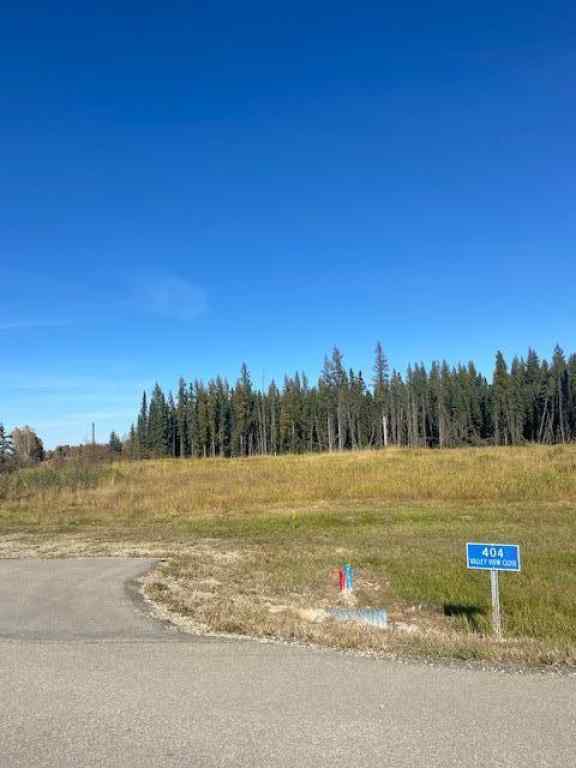 MLS® A2004559 - 400 Valley View Close  in Diamond Willow Estates Rural Clearwater County, Land