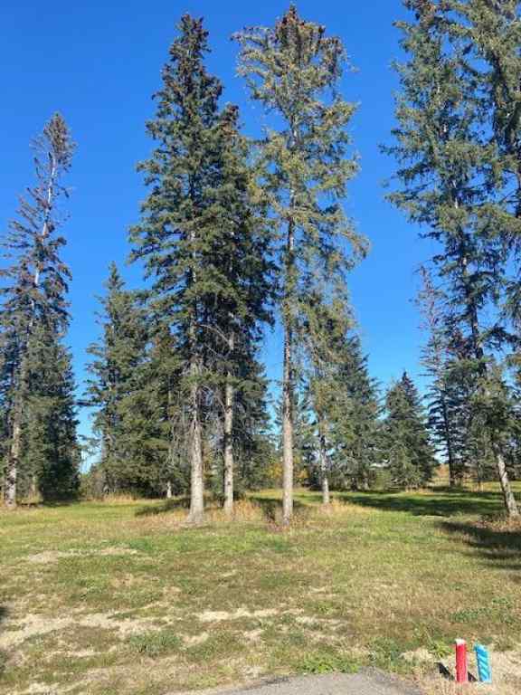 MLS® A2004831 - 313 Valley View Drive  in Diamond Willow Estates Rural Clearwater County, Land