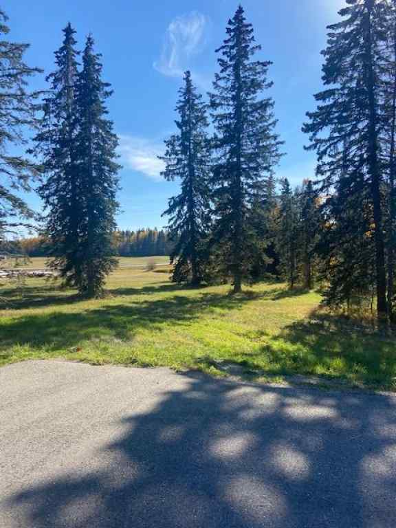 MLS® A2004835 - 309 Valley View Drive  in Diamond Willow Estates Rural Clearwater County, Land