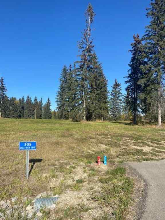 MLS® A2005998 - 308 Valley View Drive  in Diamond Willow Estates Rural Clearwater County, Land