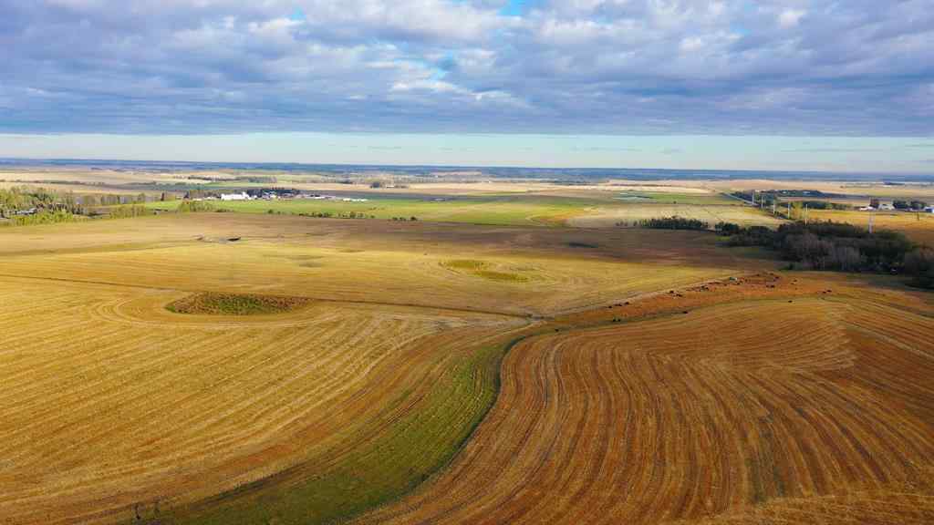 MLS® A2006397 - 6360 C & E Trail  in North Industrial Innisfail, Land