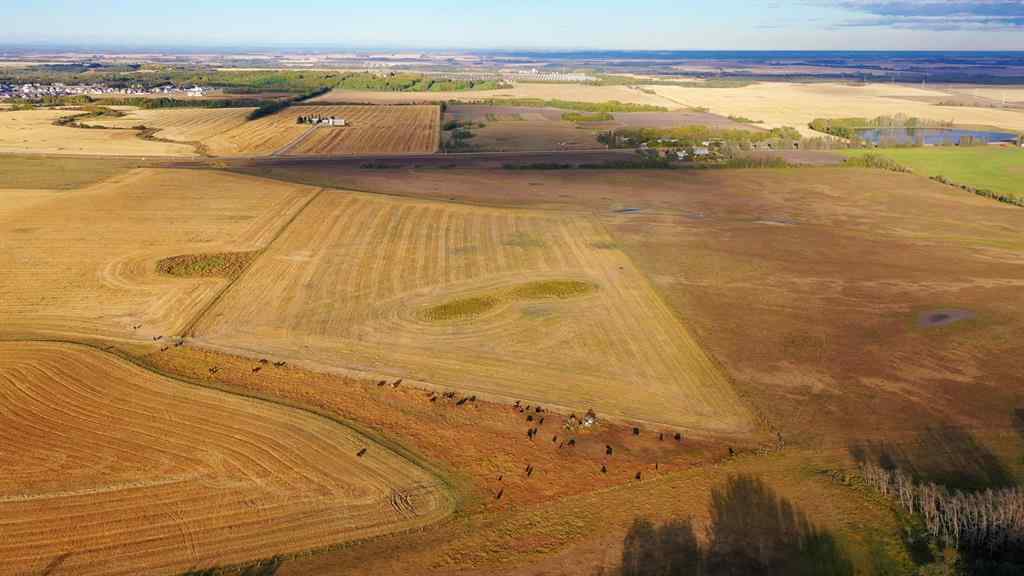 MLS® A2006397 - 6360 C & E Trail  in North Industrial Innisfail, Land