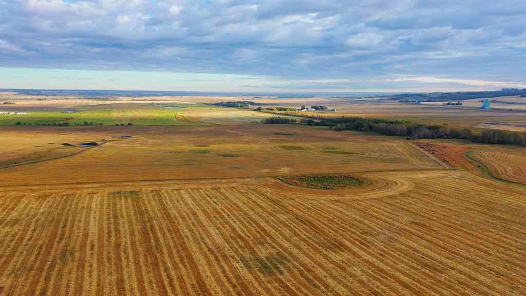 MLS® A2006397 - 6360 C & E Trail  in North Industrial Innisfail, Land