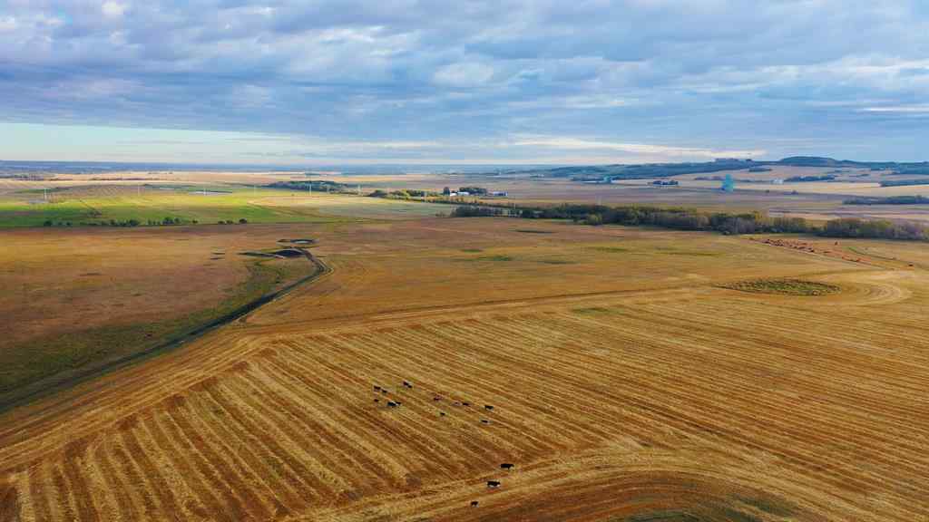 MLS® A2006397 - 6360 C & E Trail  in North Industrial Innisfail, Land