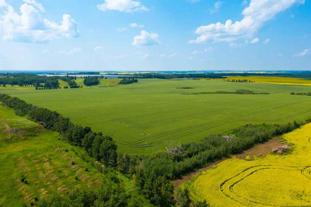 MLS® A2006752 - TWP 360 - RR 283C   in Dodds Lake Innisfail, Land
