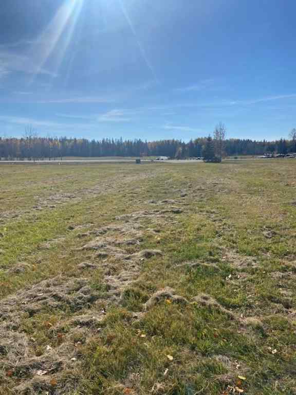 MLS® A2008327 - 420 Valley View Close  in  Rural Clearwater County, Land