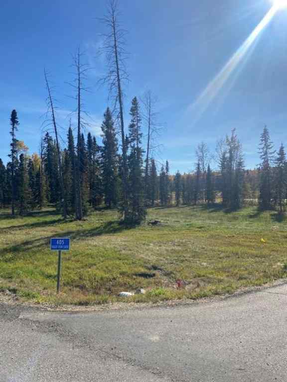 MLS® A2008696 - 405 Valley View Close  in Diamond Willow Estates Rural Clearwater County, Land