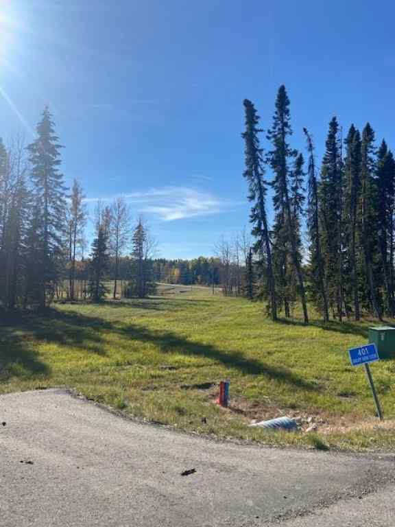 MLS® A2008700 - 401 Valley View Close  in Diamond Willow Estates Rural Clearwater County, Land