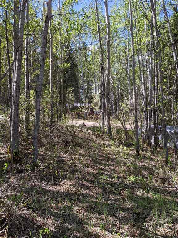 MLS® A2011362 - Unit #234 15538 Old Trail   in NONE Plamondon, Land