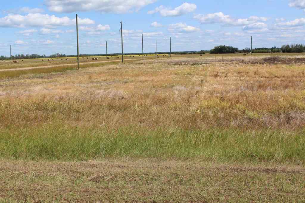 MLS® A2019177 - 903 Main Street   in NONE Manning, Land