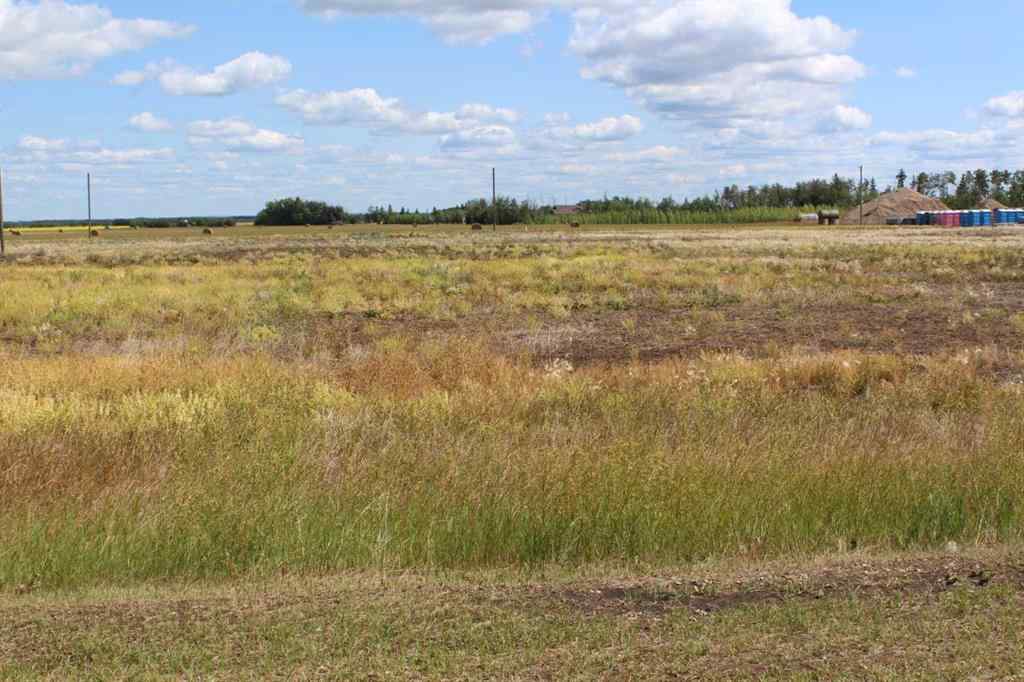MLS® A2019177 - 903 Main Street   in NONE Manning, Land