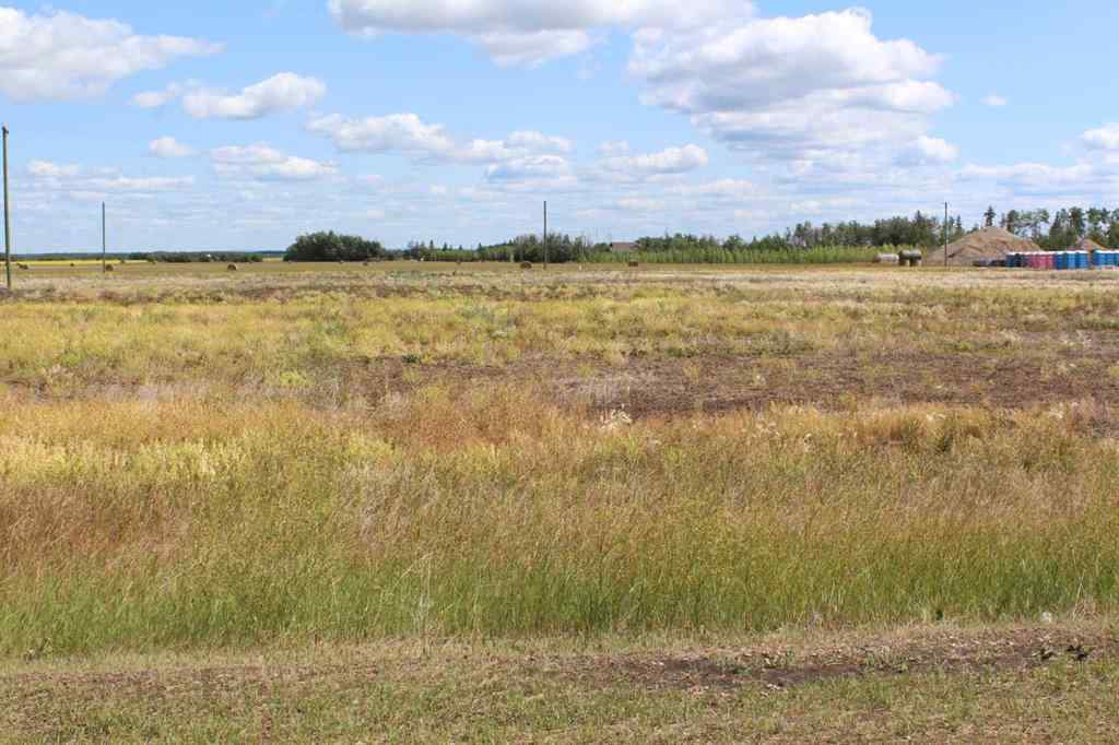 MLS® A2019178 - 901 Main Street   in NONE Manning, Land