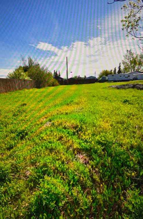 MLS® A2024958 - 4731 53 Street  in NONE Rycroft, Land