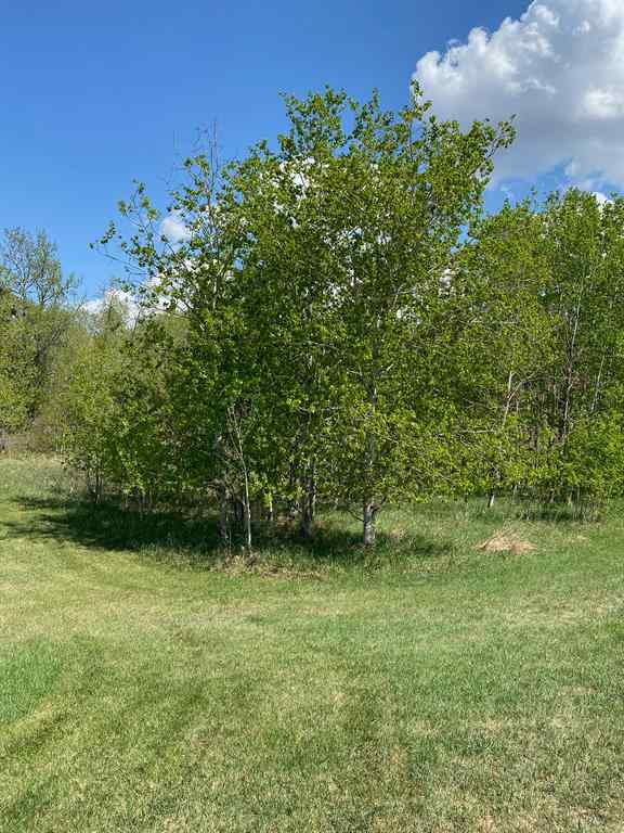 MLS® A2026785 - 5005 46 Street   in Riverside Ponoka, Land