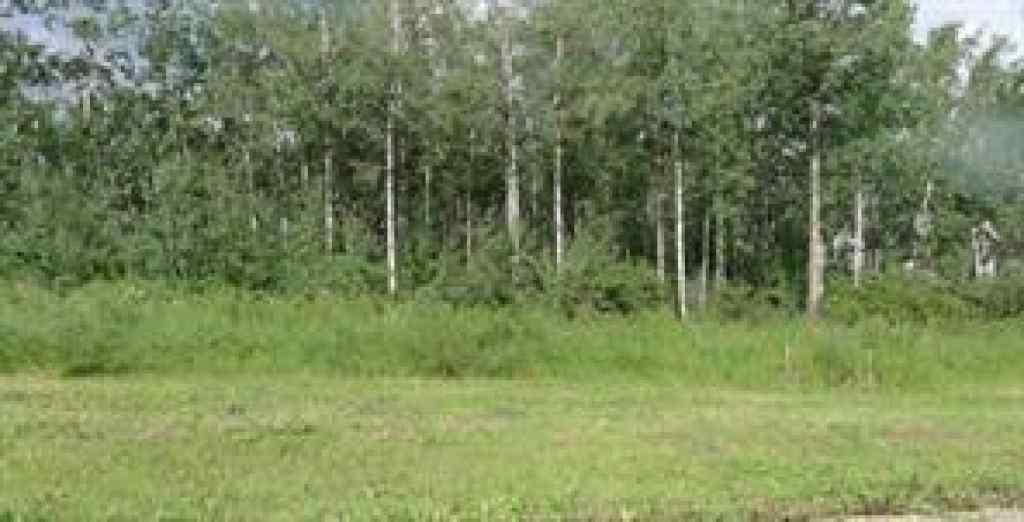 MLS® A2032926 - 122 Wolf Run Drive   in Wolf Creek Village Rural Ponoka County, Land