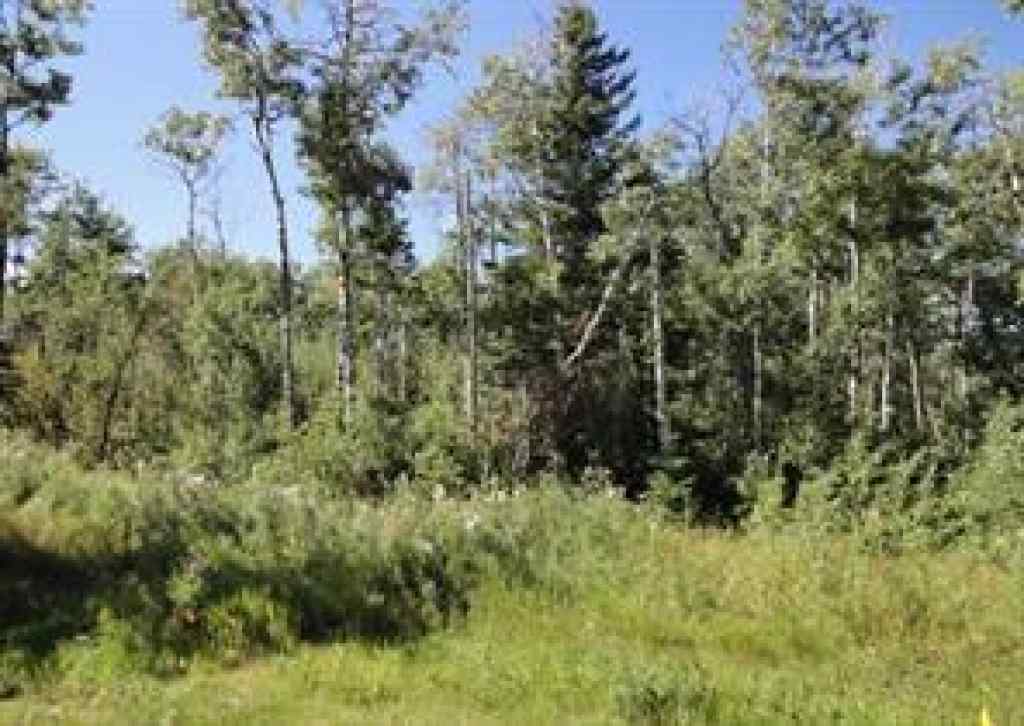 MLS® A2032926 - 122 Wolf Run Drive   in Wolf Creek Village Rural Ponoka County, Land